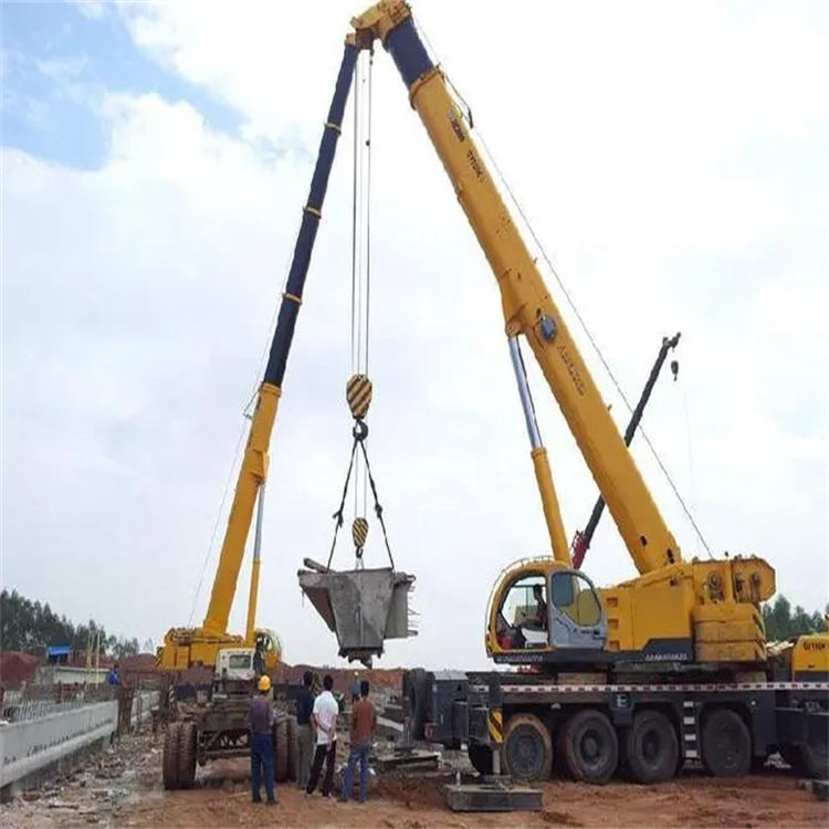 安居小型吊机出租电话|厂房设备吊装方案|24小时服务覆盖